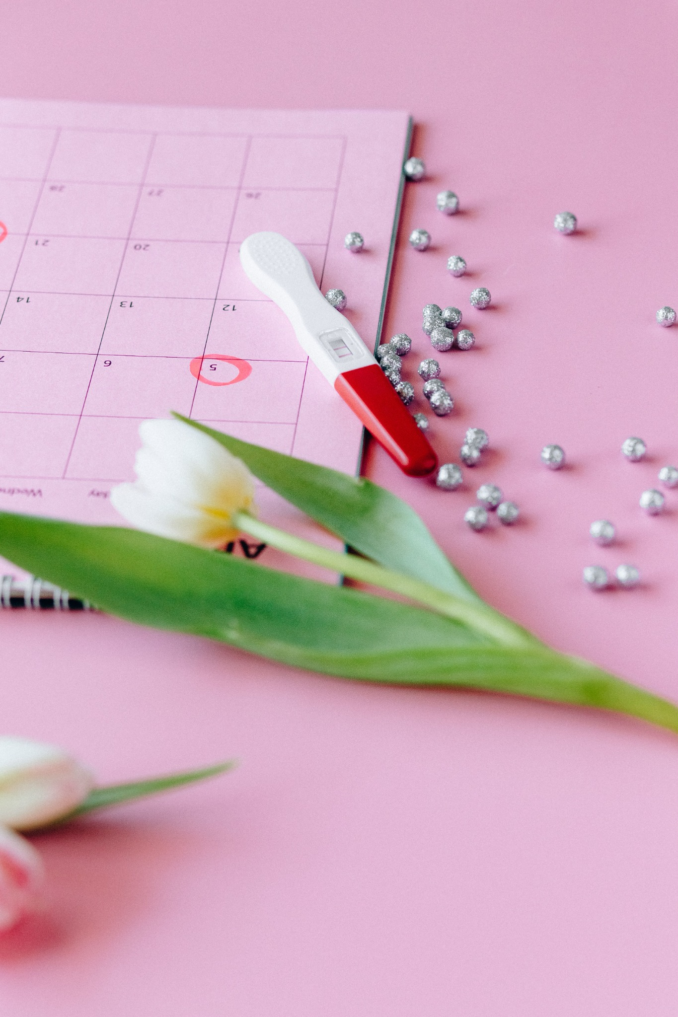 A calendar and pregnancy test arranged with a tulip
