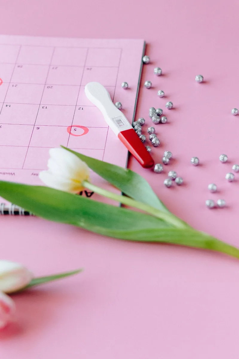 A calendar and pregnancy test arranged with a tulip